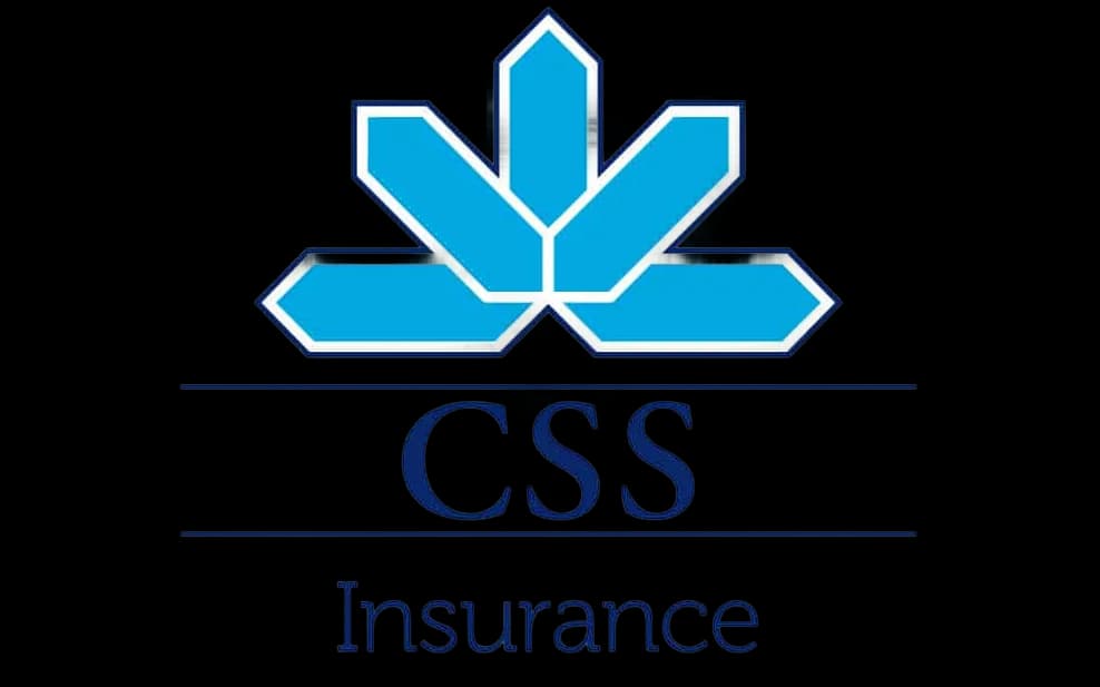 CSS Logo CSS Logo
